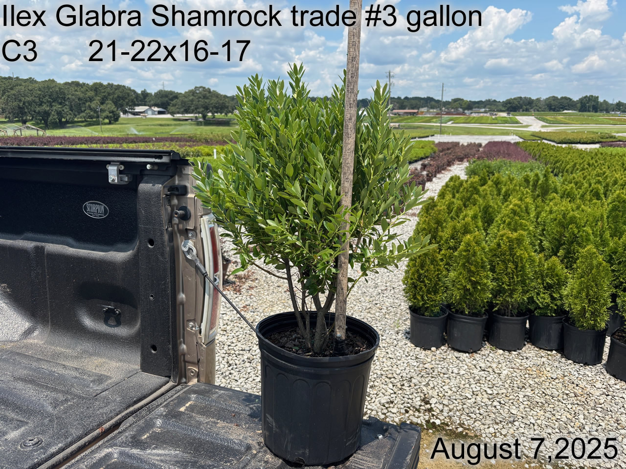 gallery/igs3t c3 aug25.jpg